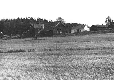 Svartsrød bnr. 1, Rolf Arne Thorsens gård.
