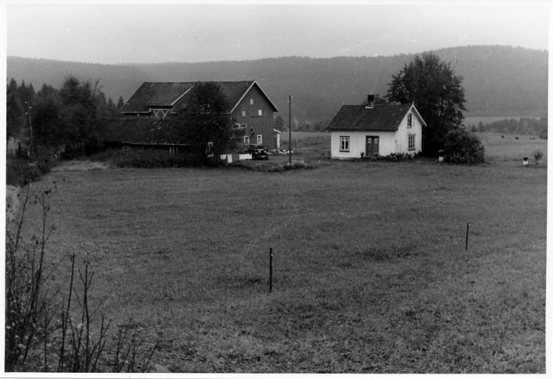 Fil:013 004 Haugan Rønnningen.jpg