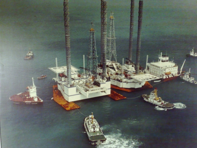 Fil:Dyvi Swan (1024x768).jpg