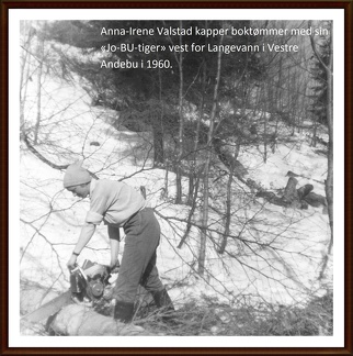 Anna-Irene Valstad kapper boktømmer med sin «Jo-BU-tiger» vest for Langevann i Vestre Andebu i 1960.OKR