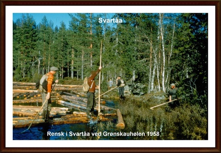 Rensk Svartåa ved Grønskauhølen 1958OKR