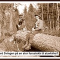 Stavkirkematrialer.jpg Bernhart Svingen landbrukALHR