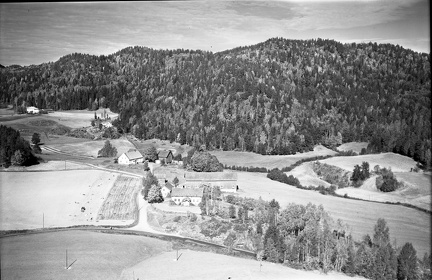 244-004-19590000-001 - Døvle 