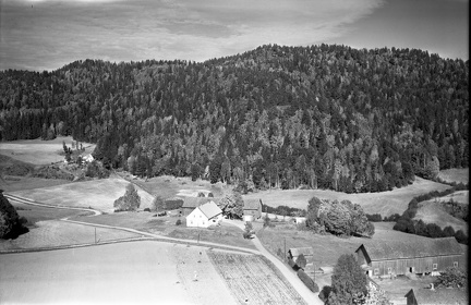 244-065-19590000-001 - Døvle 