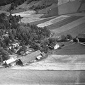 303-002-19530000-001 - Hønsvall 