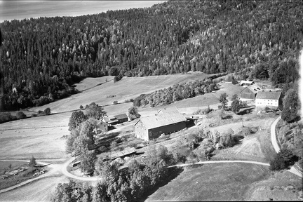 317-001-19590000-001 - Bjørndal 