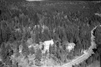 311.015 -Hasås Vestre gnr. 111, bnr. 15 Havna   1959   035