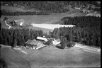 269-003 - Myhre gnr. 69, bnr. 3  1950  018