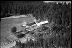 269-003 - Myhre gnr. 69, bnr. 3  1950  019