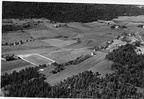 281.000. - Høyjord Vestre gnr. 81 Oversikt   1951