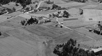 281.000. - Høyjord Vestre gnr. 81 Oversikt  1951  012.jpgbeskjert