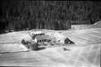 281.004 - Høyjord Vestre gnr. 81, bnr. 4 Nordigården   1950   012
