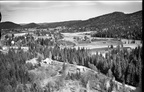 293.004 -Nes gnr. 93, bnr. 4 Bergan  1957   022