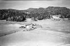 220.003  - Kjærås gnr. 20, bnr. 3 Vestigården 1959 027