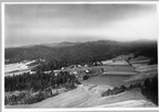227.001.  - Skjelland Nedre gnr. 27, bnr. 1 Oppistua  1953 067