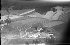 227.002  - Skjelland Nedre gnr. 27, bnr. 2 Nedistua 1953  047