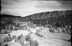249.002  - Vegger gnr. 49, bnr. 2 Øvre 1953 050