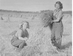 Kvinnelig-Arbeidstjeneste-i-jordbruket