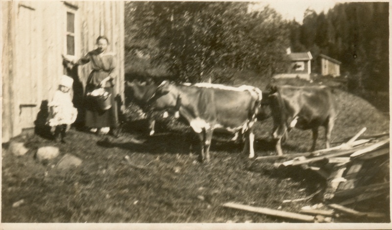 Fil:054 004 Bjørkedalen 1921.jpg