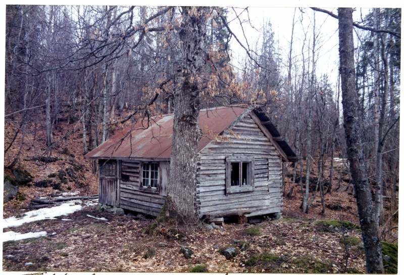 Fil:054 009 Dalasetra 1998008.jpg