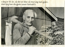 Tjugum Tbg halvt.jpg