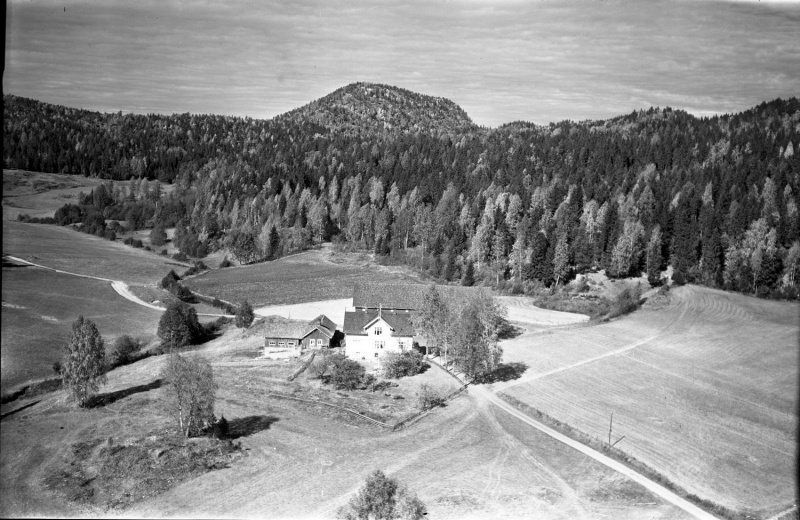 Fil:045.002Taranrød Bustingen.jpg